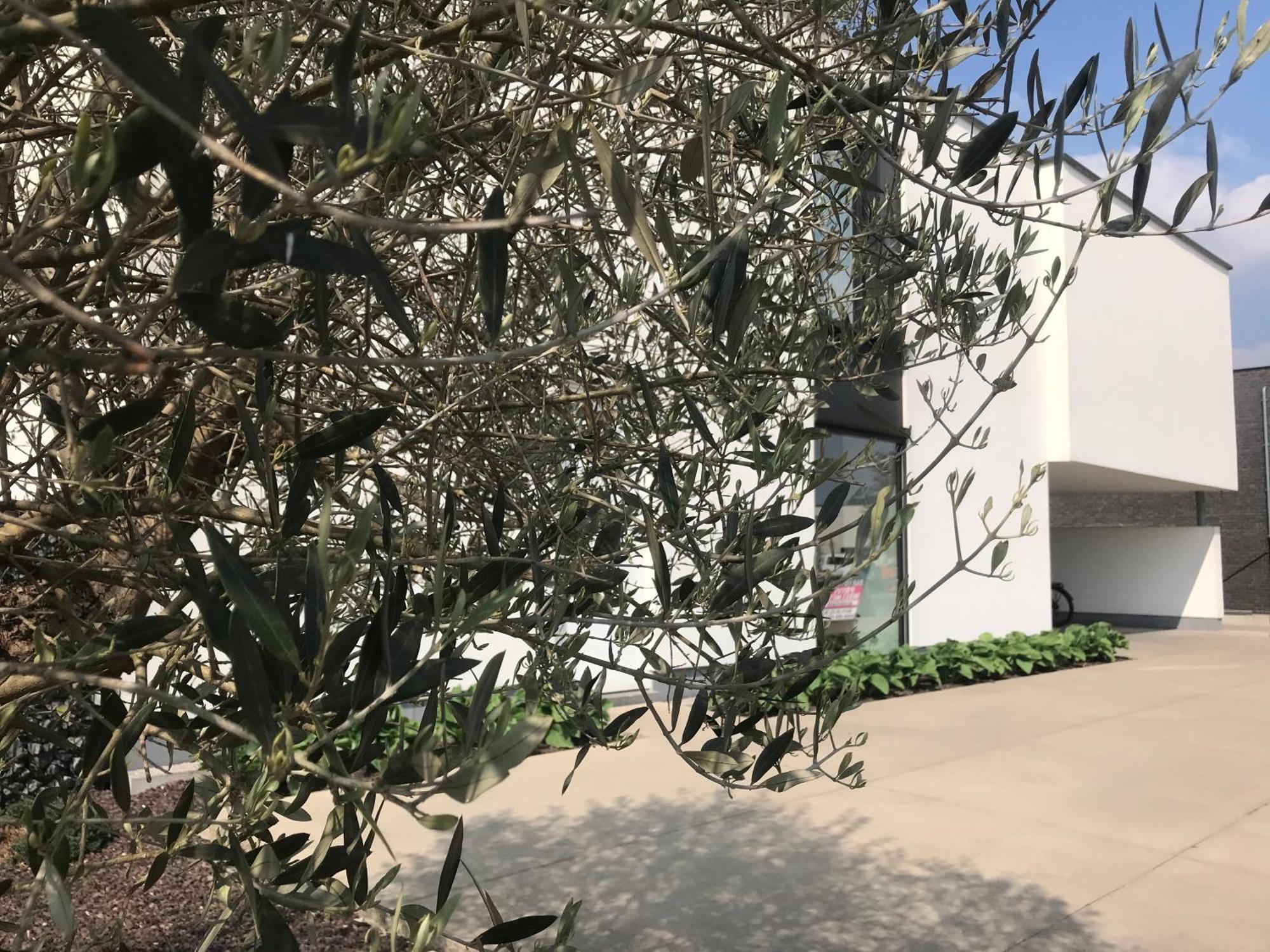 Vita Roka Met Extra Luxe Prive Wellness Ursel Zewnętrze zdjęcie
