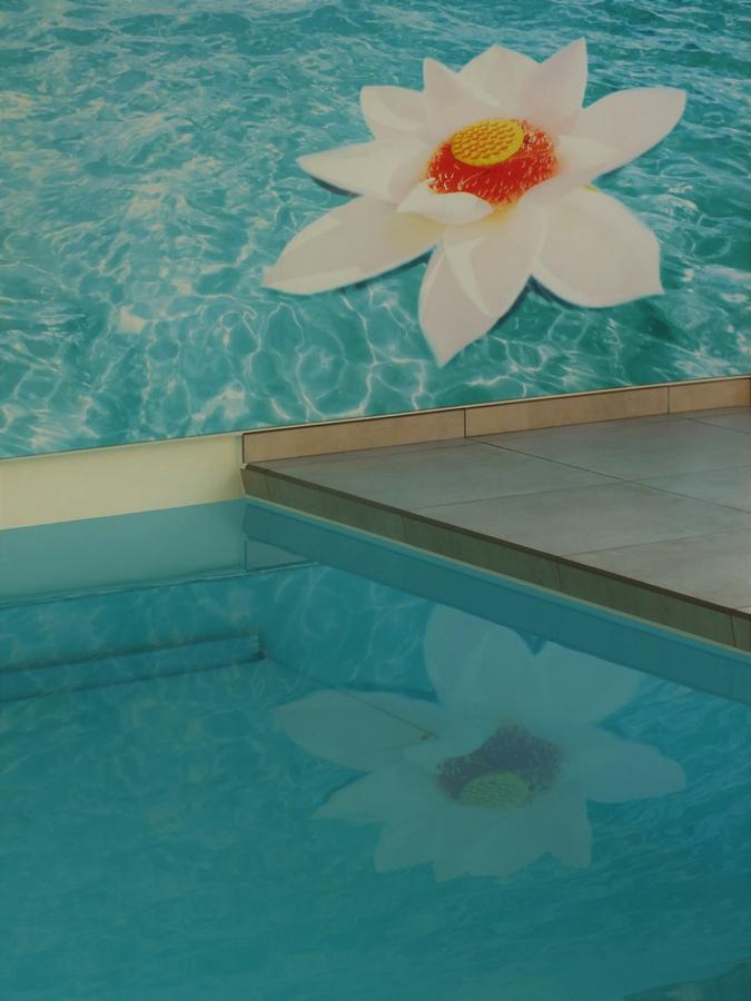Vita Roka Met Extra Luxe Prive Wellness Ursel Zewnętrze zdjęcie